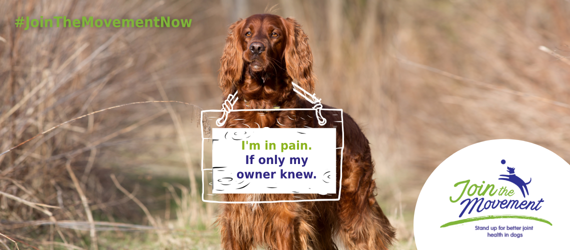 #JoinTheMovementNow - Stand up for better joint health in dogs